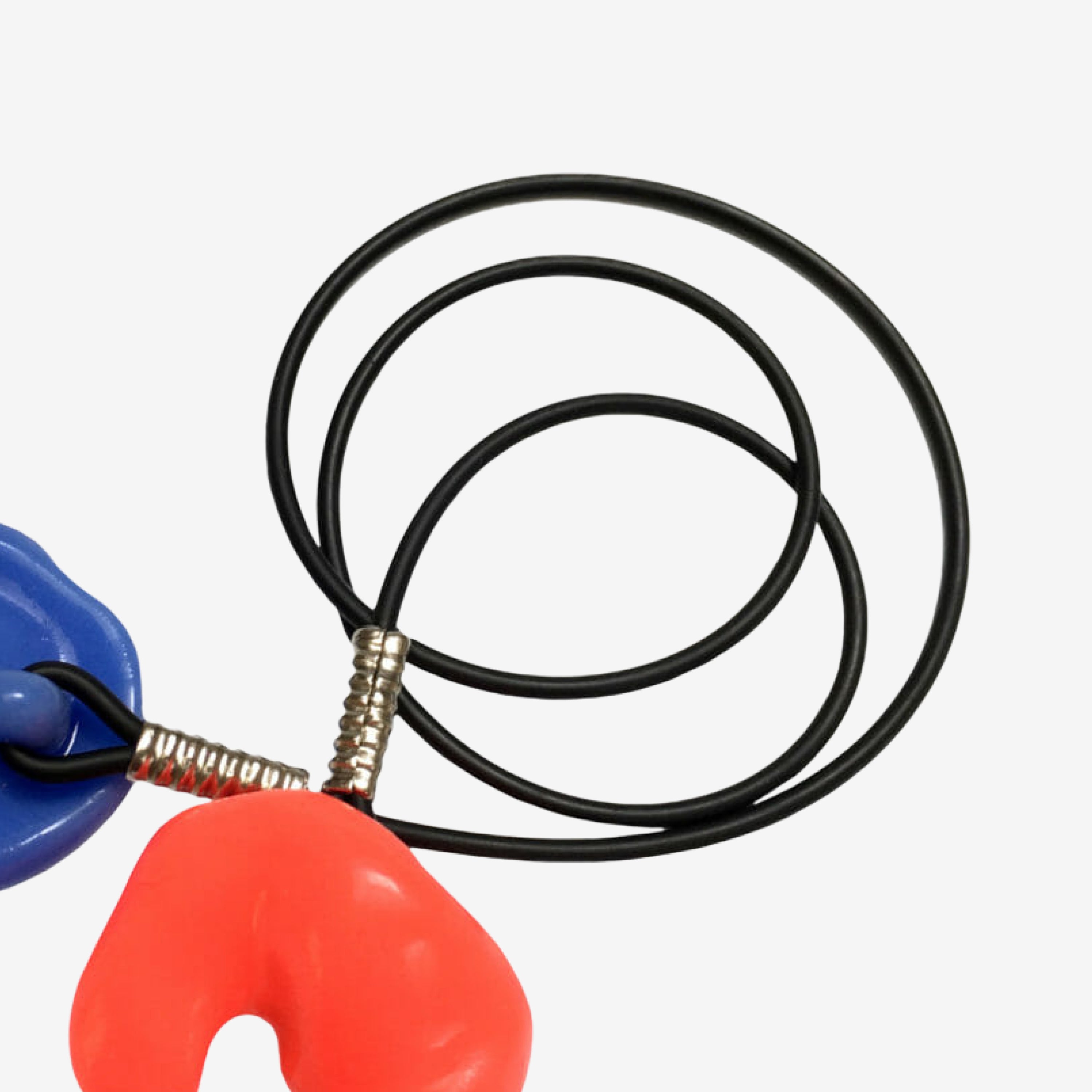 Lanyard